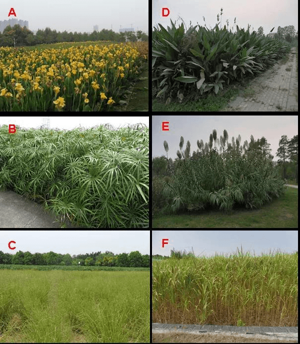 2023-11-02T06:55:33.png 2023-11-02T06:55:33.png