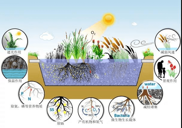 2023-11-02T06:54:43.png 2023-11-02T06:54:43.png