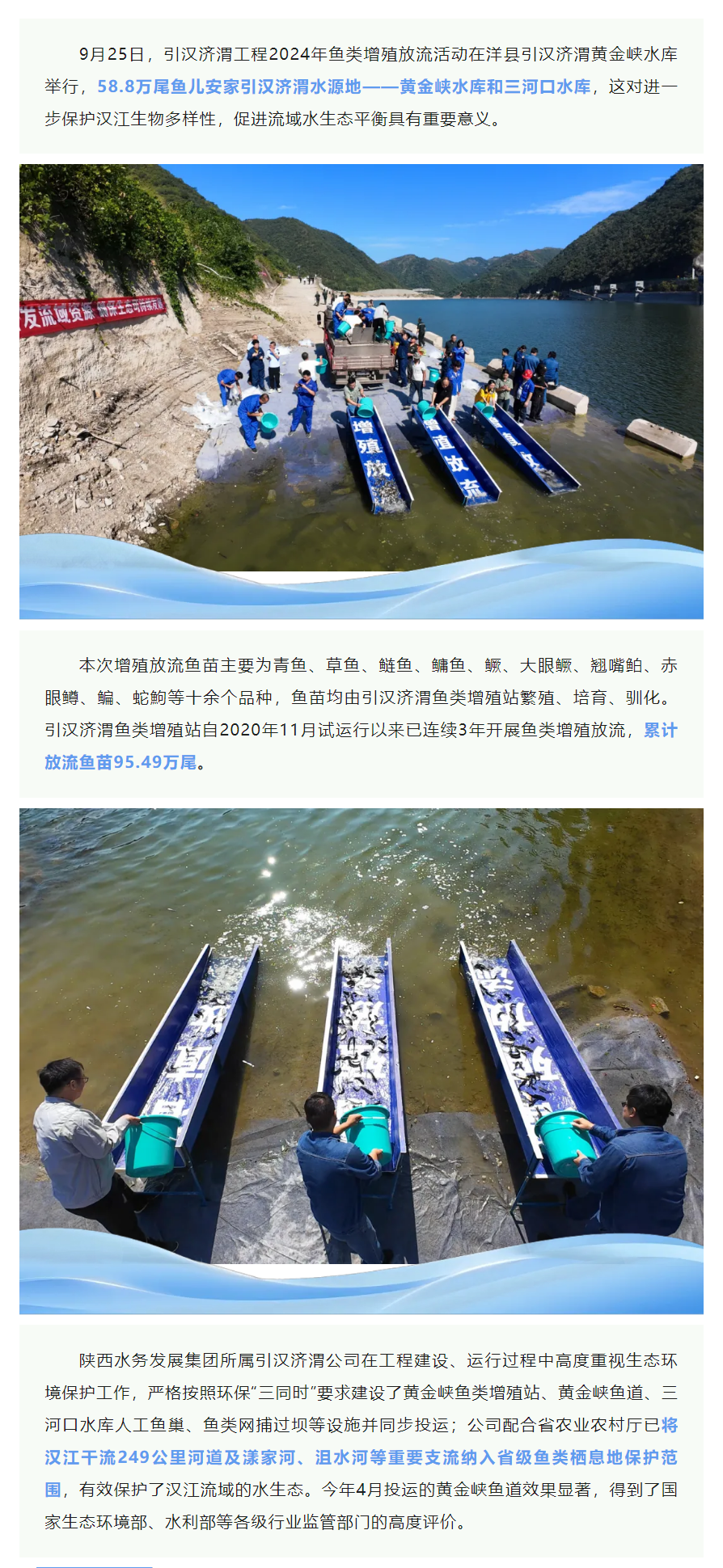 58.8万尾鱼儿安家引汉济渭水源地.png